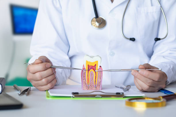 Best Dental Abscess Treatment in Cherry Valley, IL